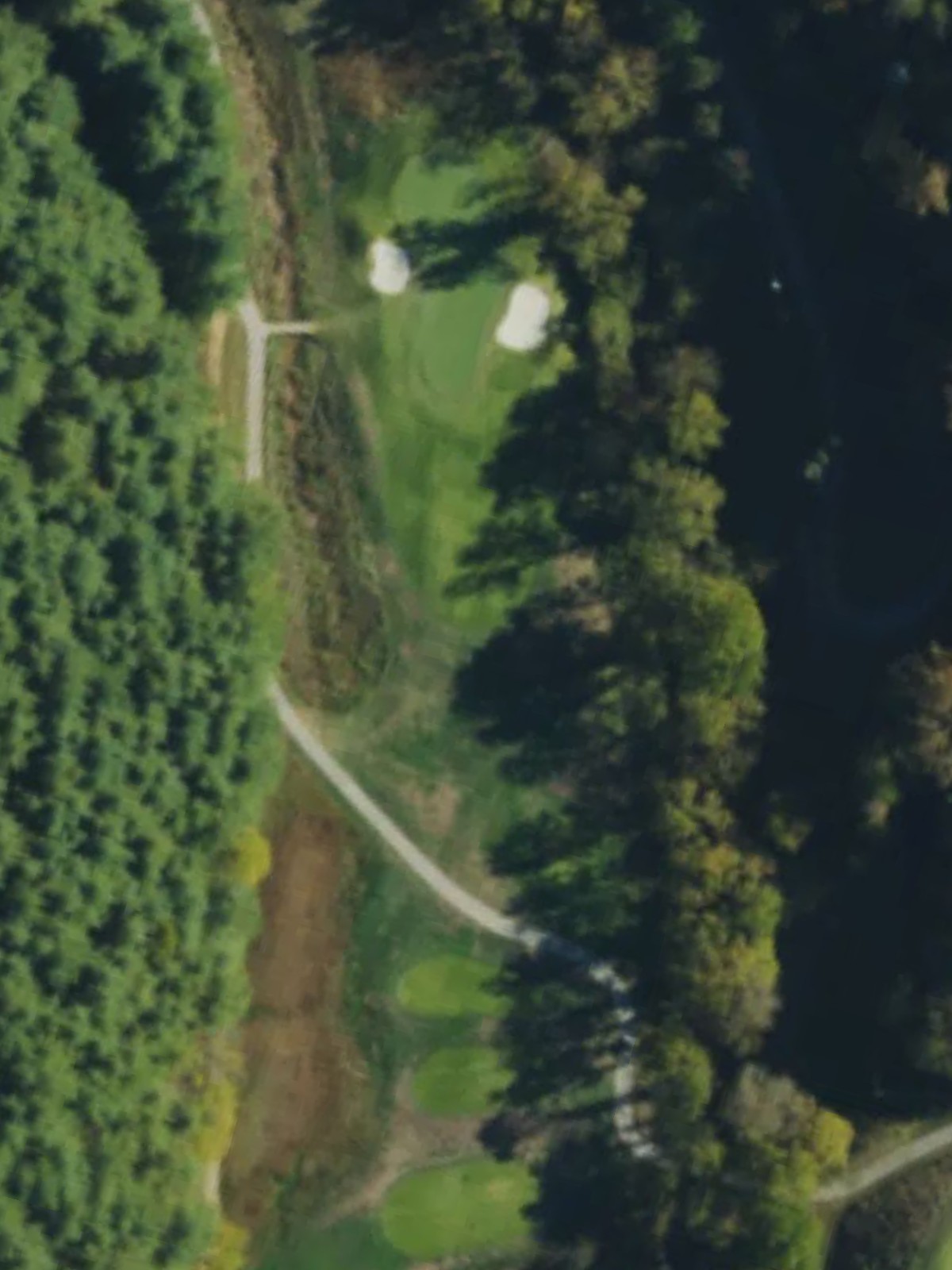 Hole 8 satellite