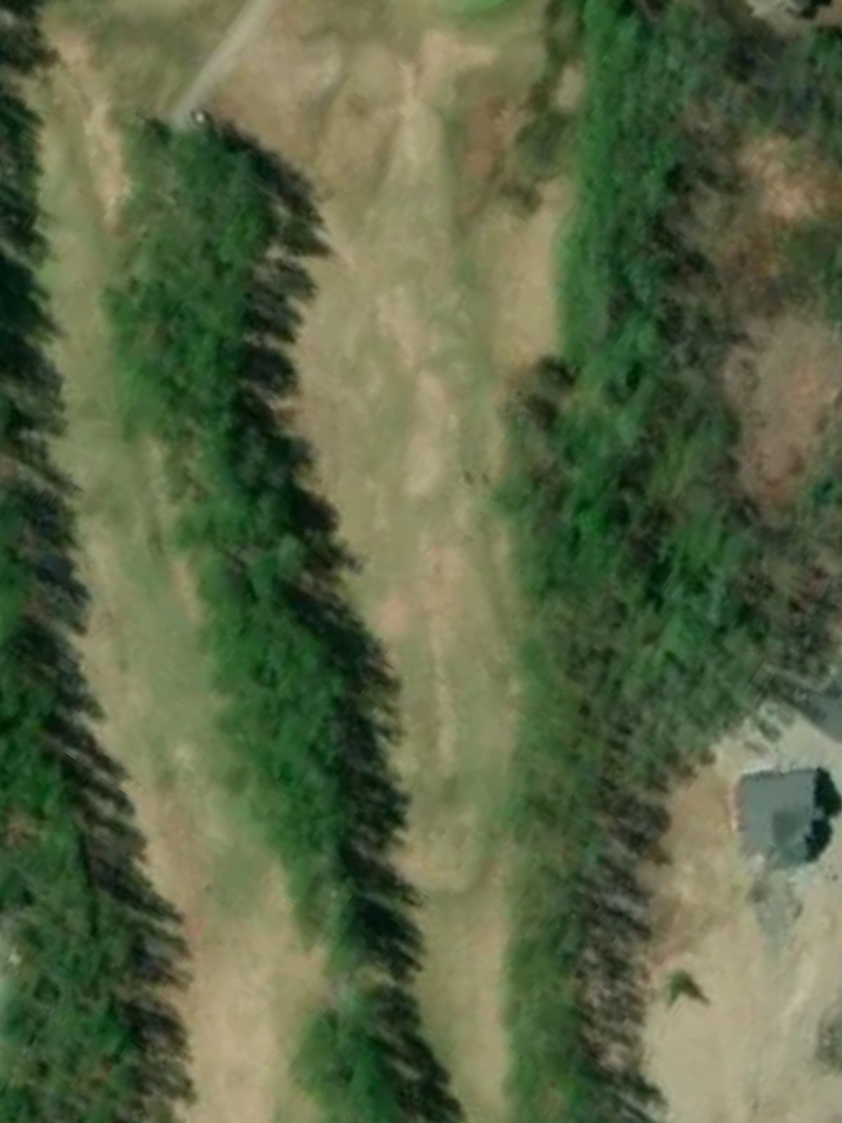 Hole 15 satellite