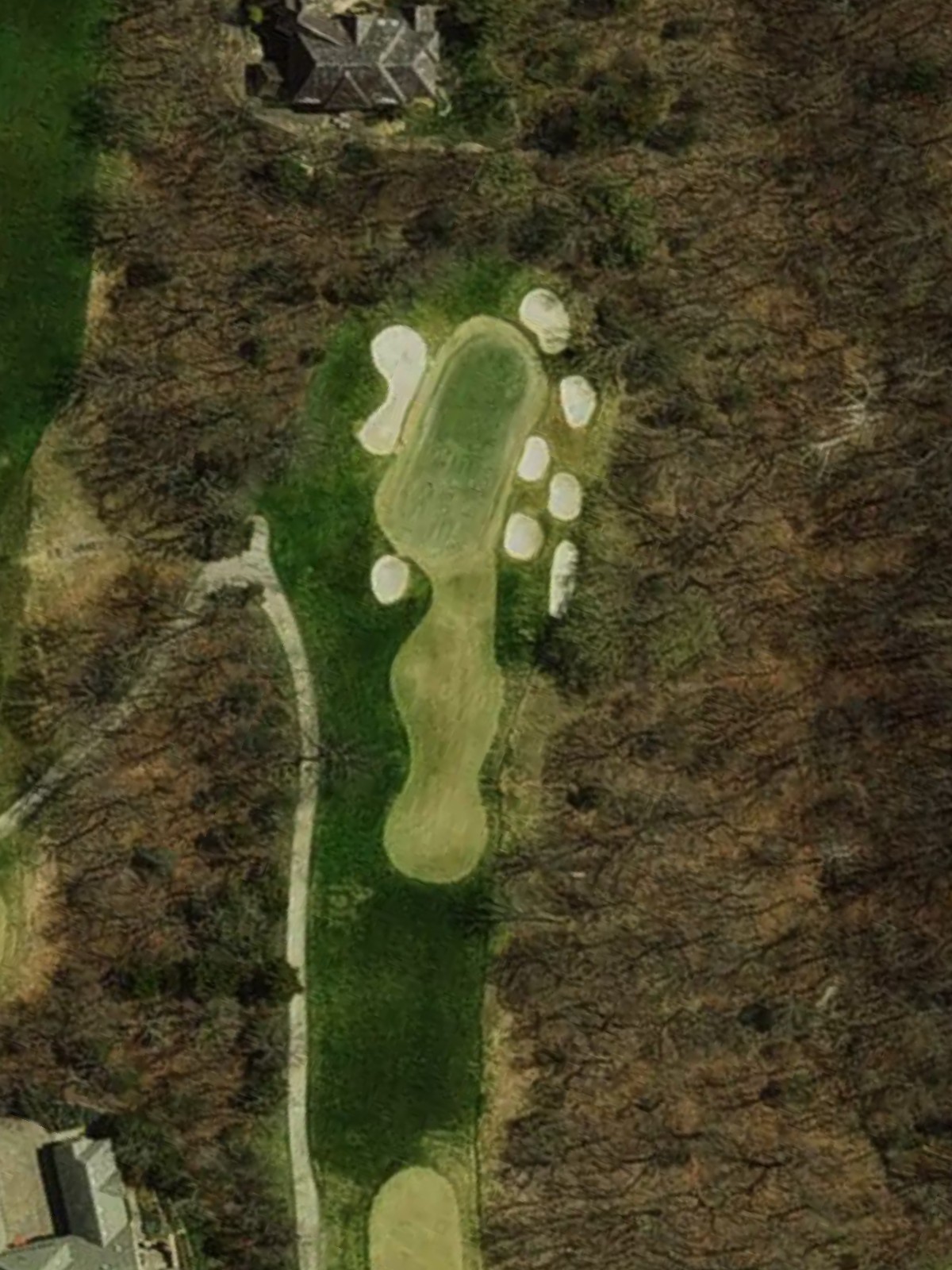 Hole 15 satellite