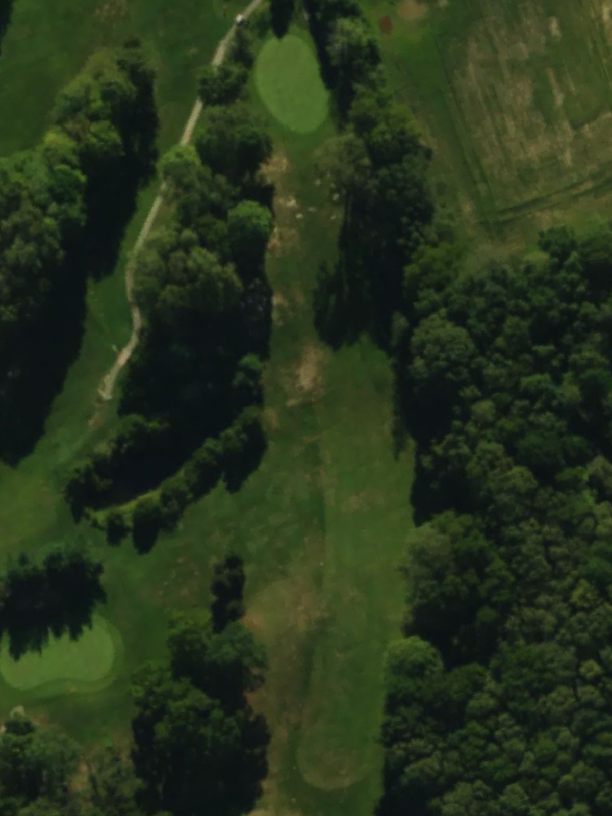 Hole 6 satellite