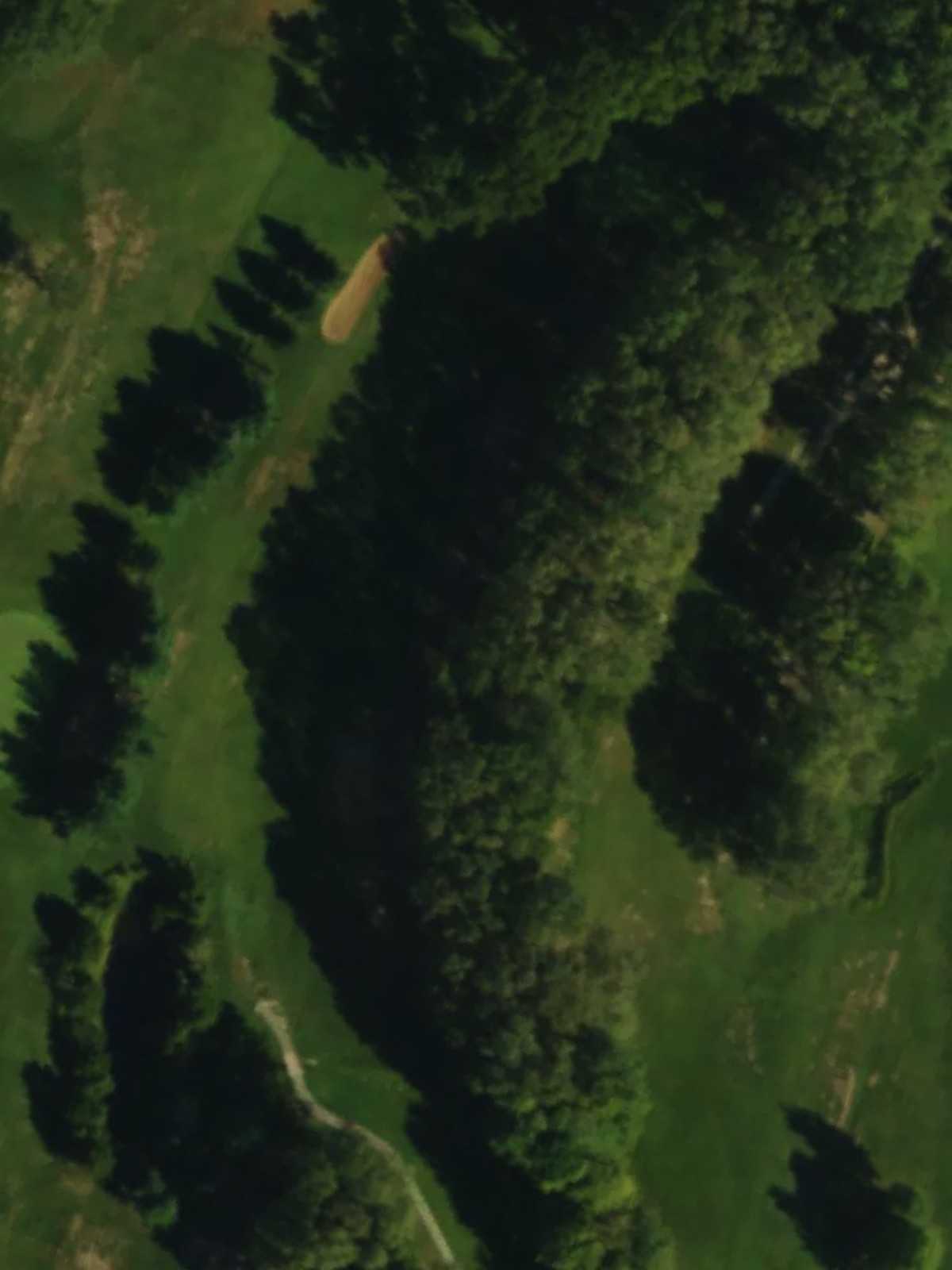 Hole 7 satellite