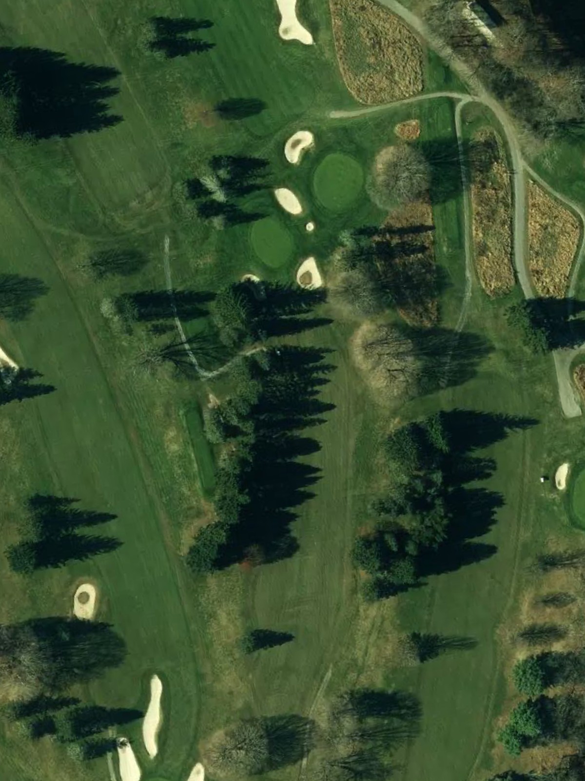 Hole 4 satellite