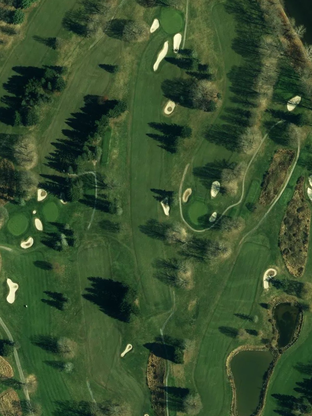Hole 6 satellite