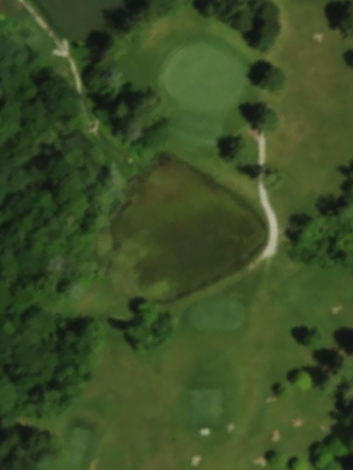 Hole 6 satellite
