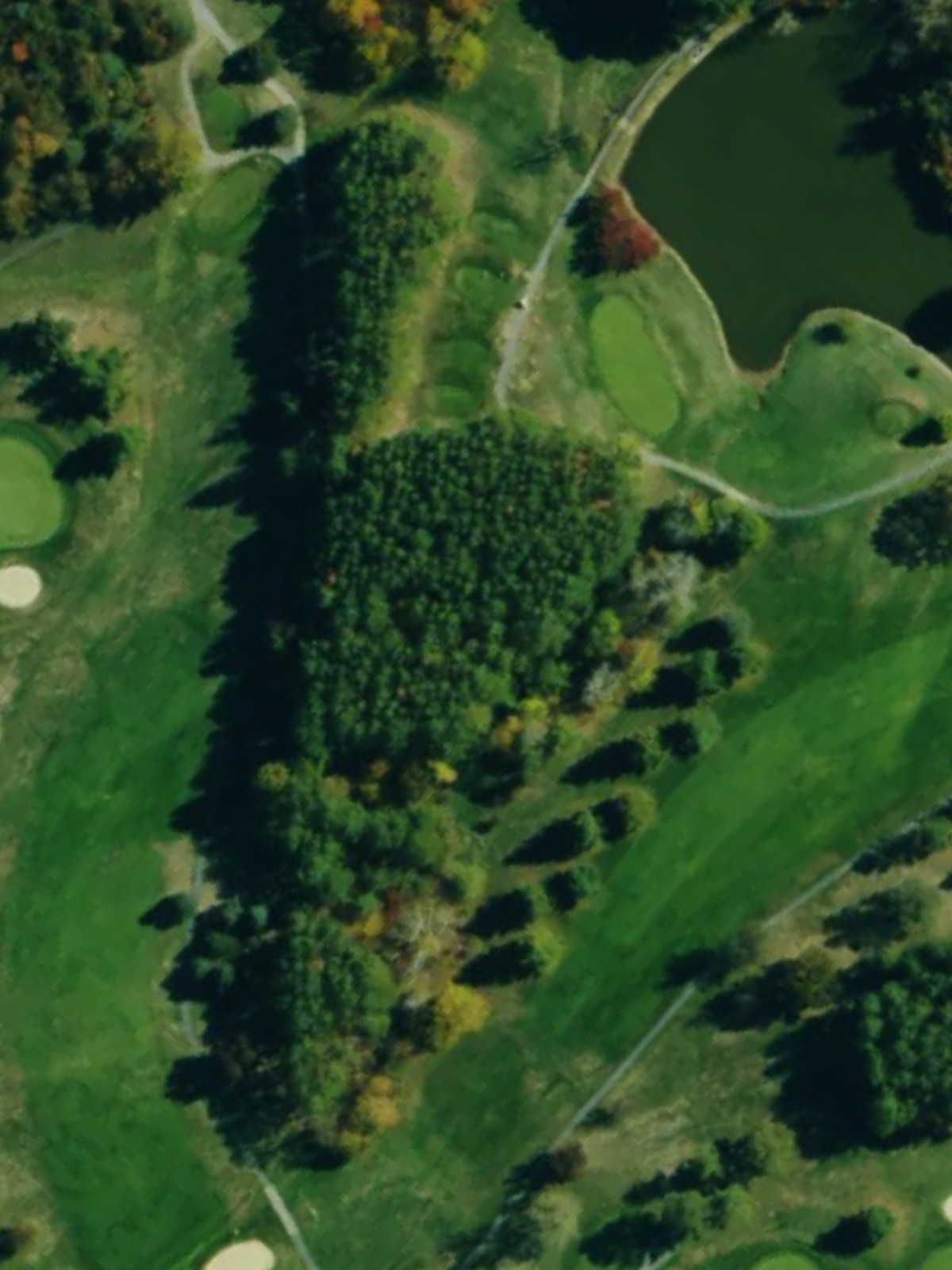 Hole 17 satellite