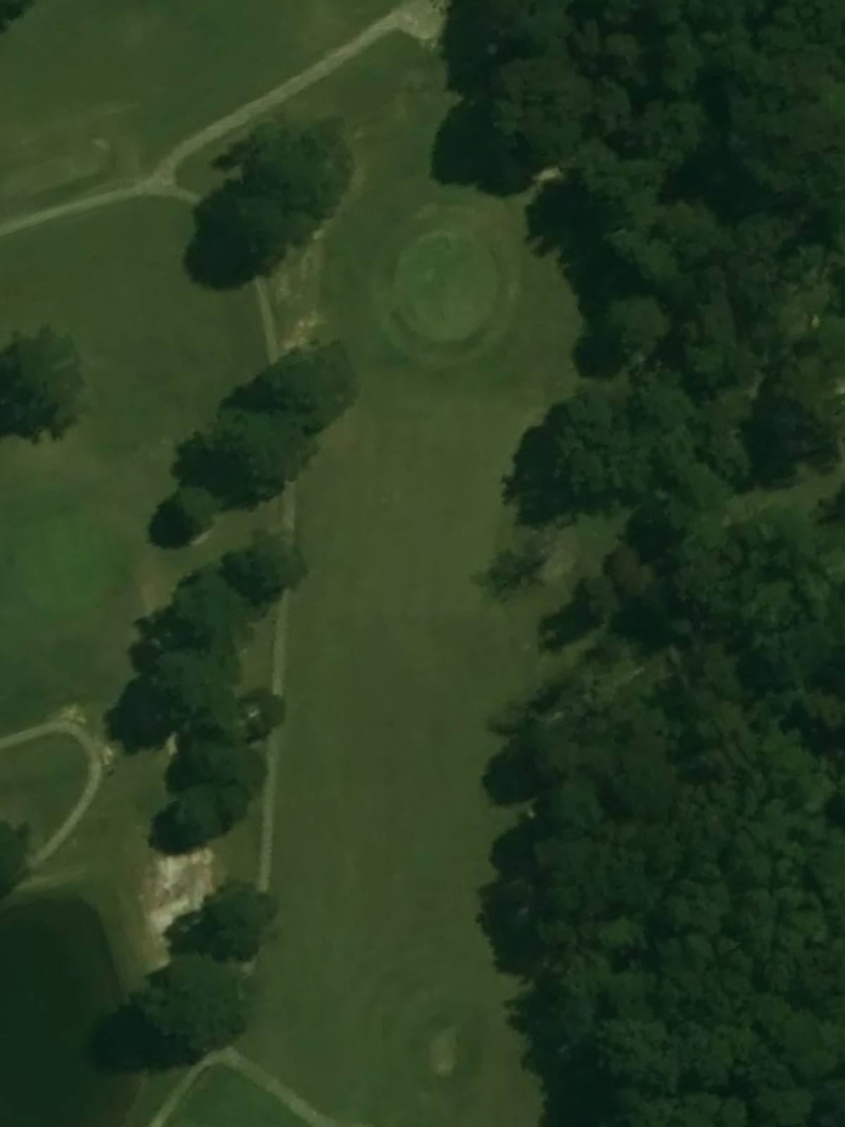 Hole 13 satellite