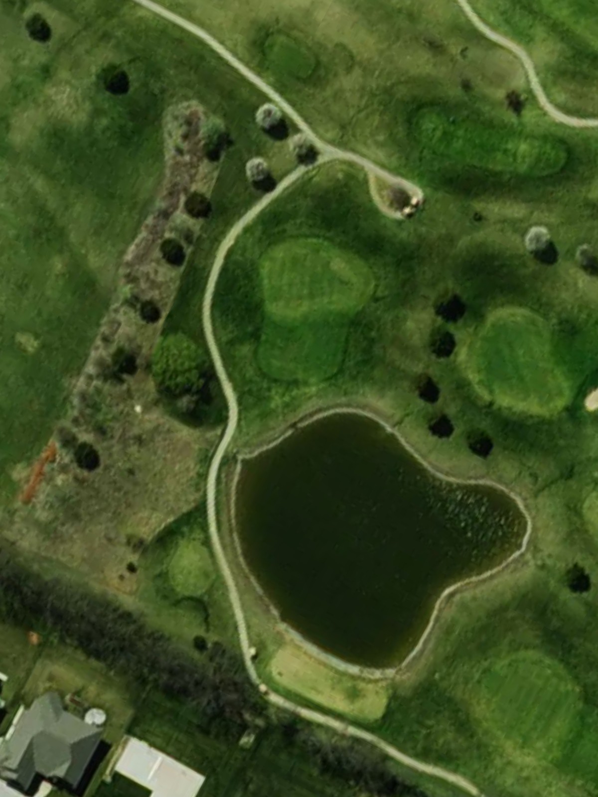 Hole 8 satellite