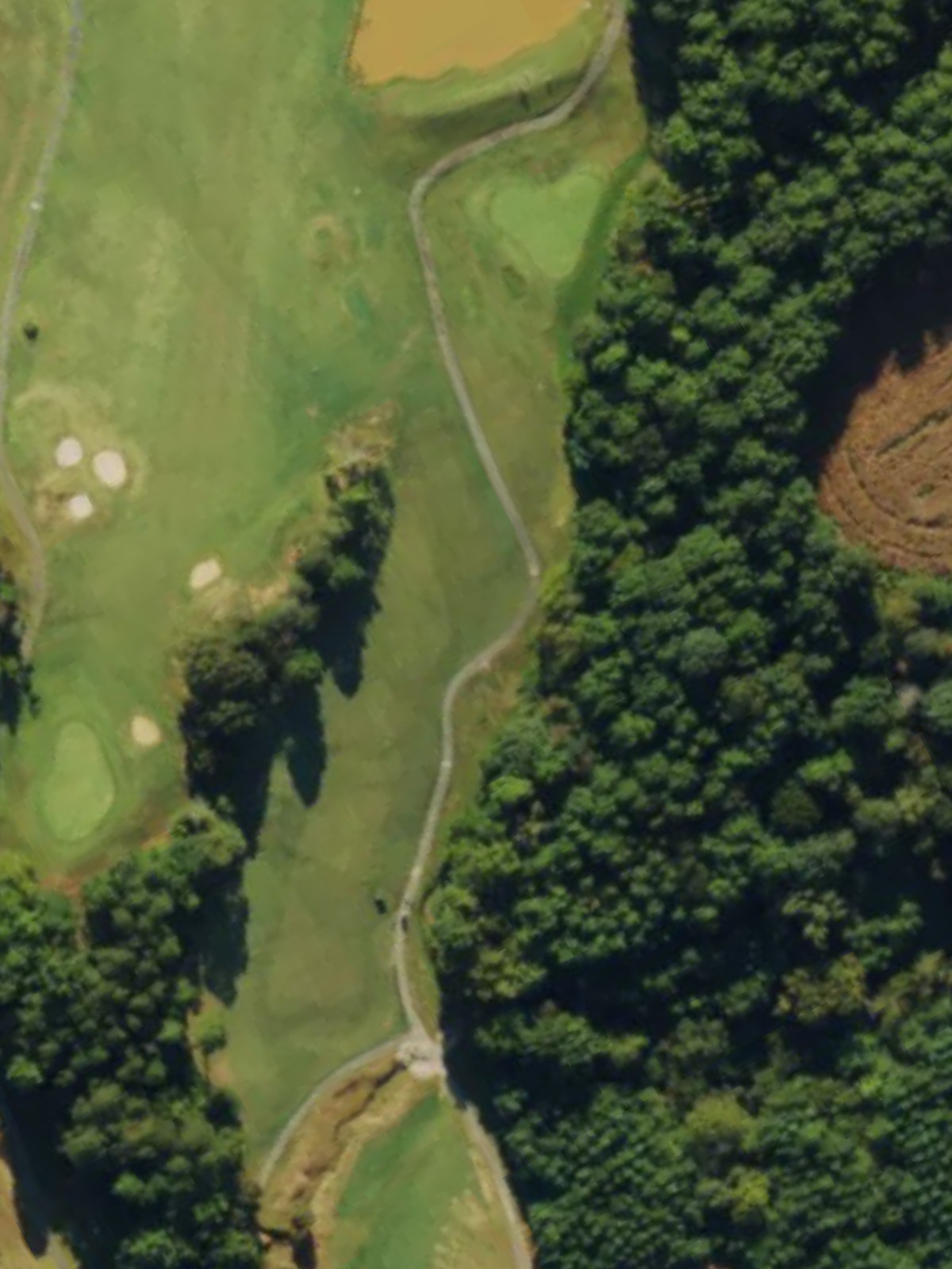 Hole 4 satellite