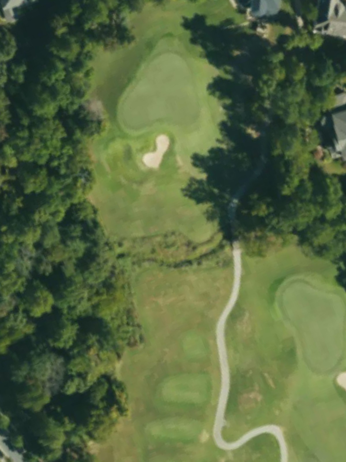 Hole 7 satellite