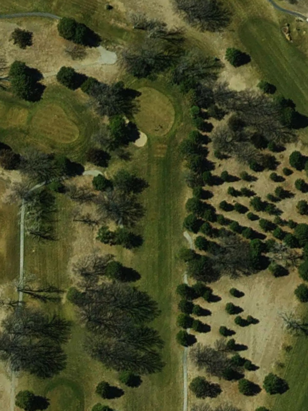 Hole 7 satellite
