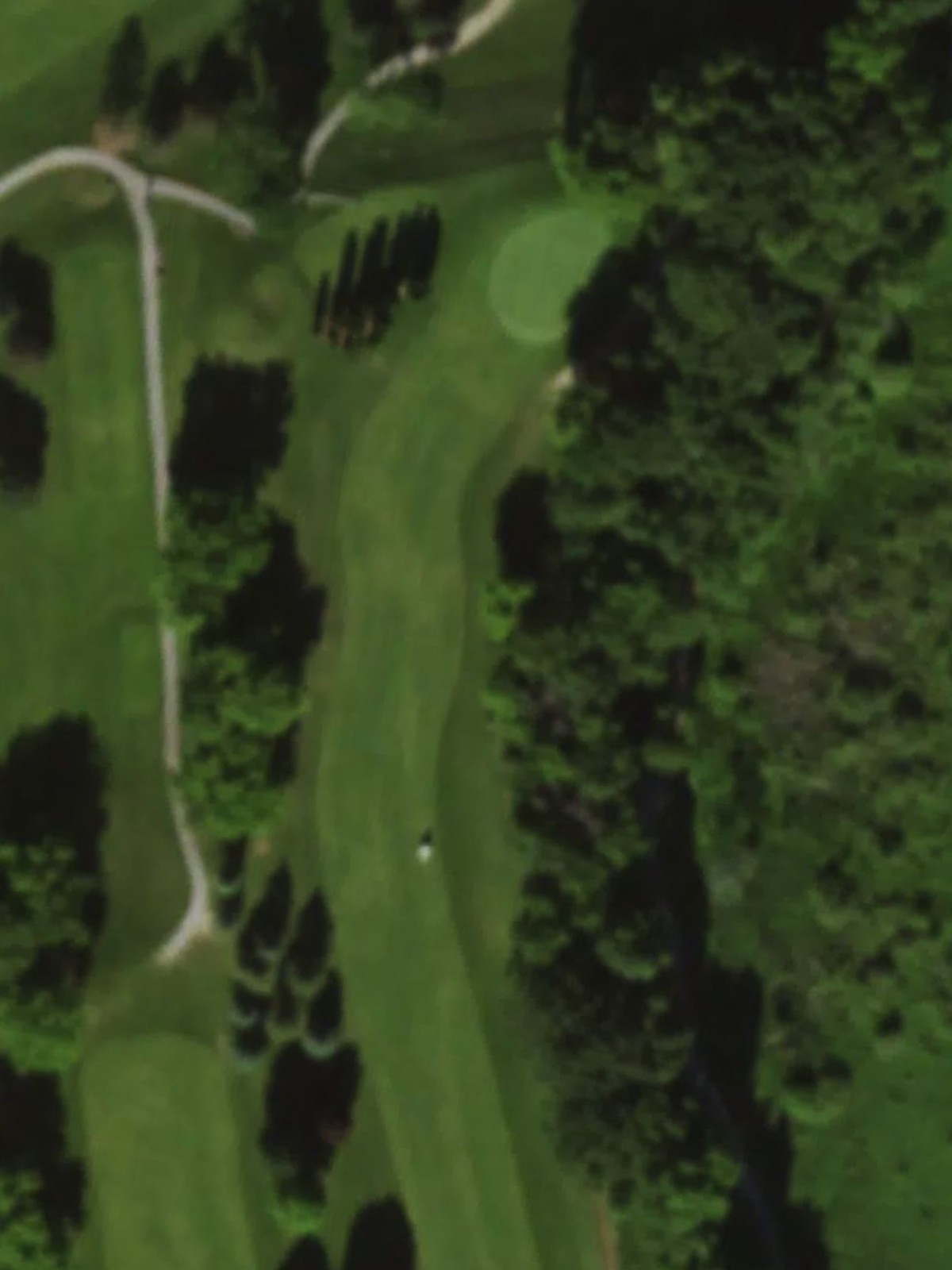 Hole 15 satellite