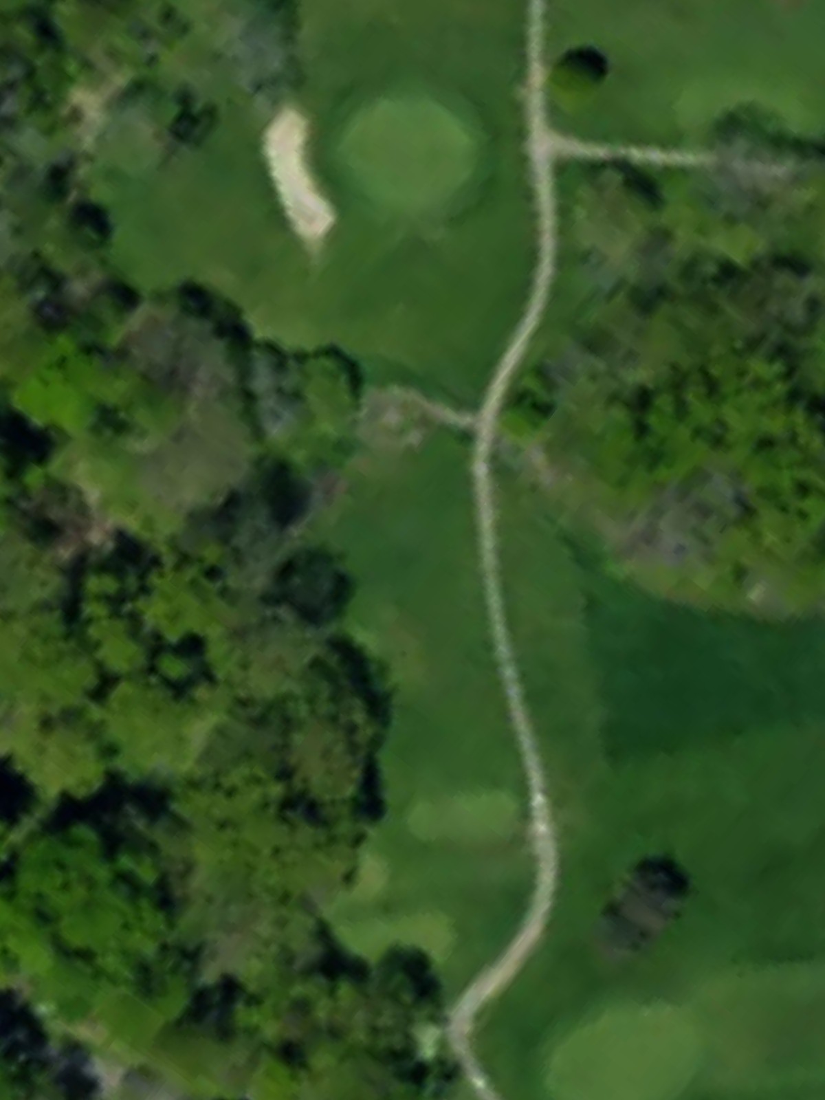 Hole 8 satellite