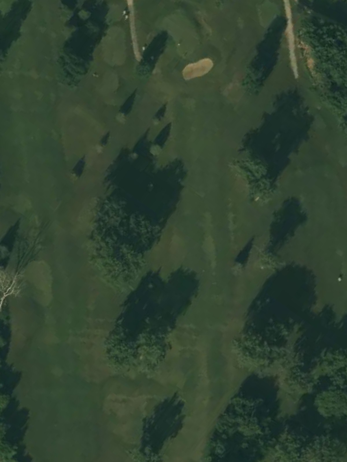 Hole 5 satellite