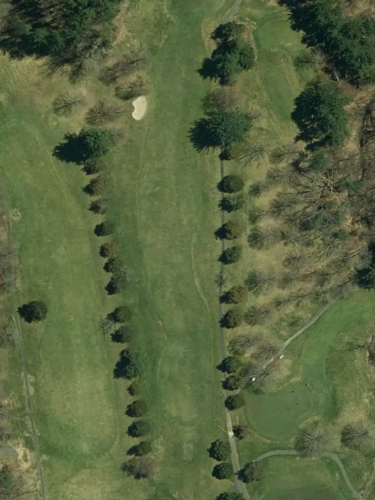 Hole 1 satellite