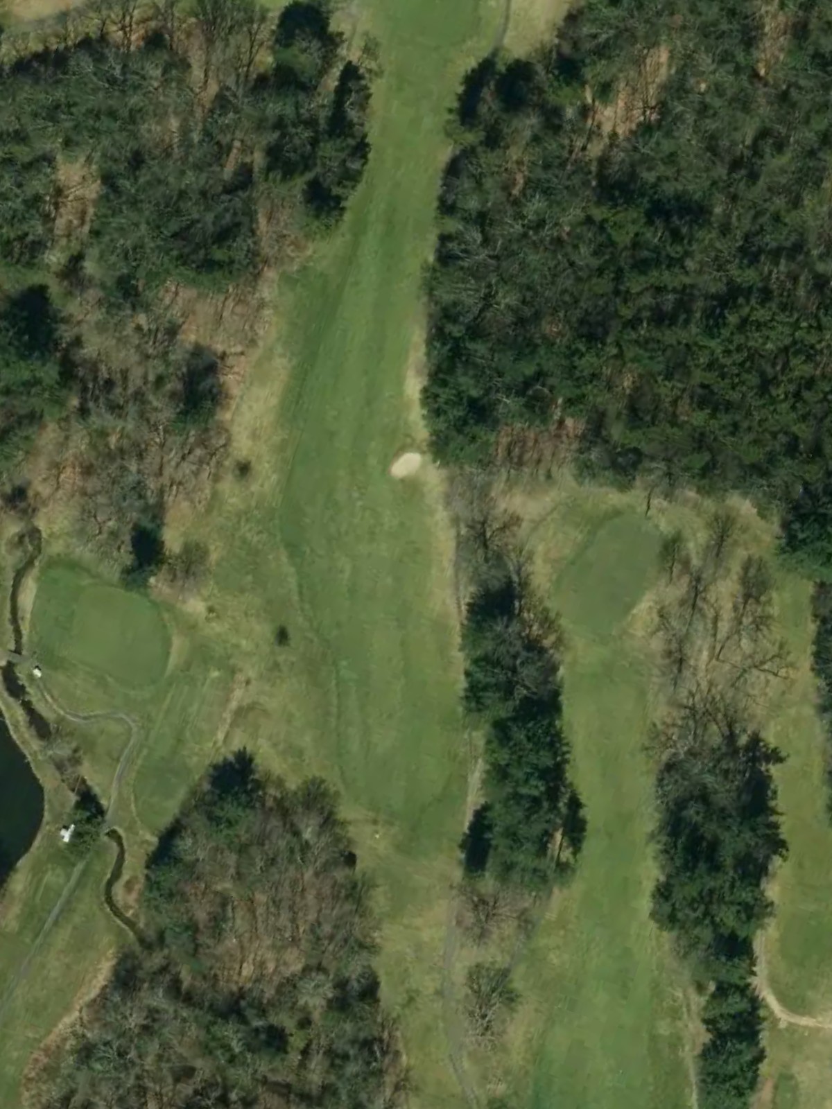 Hole 8 satellite