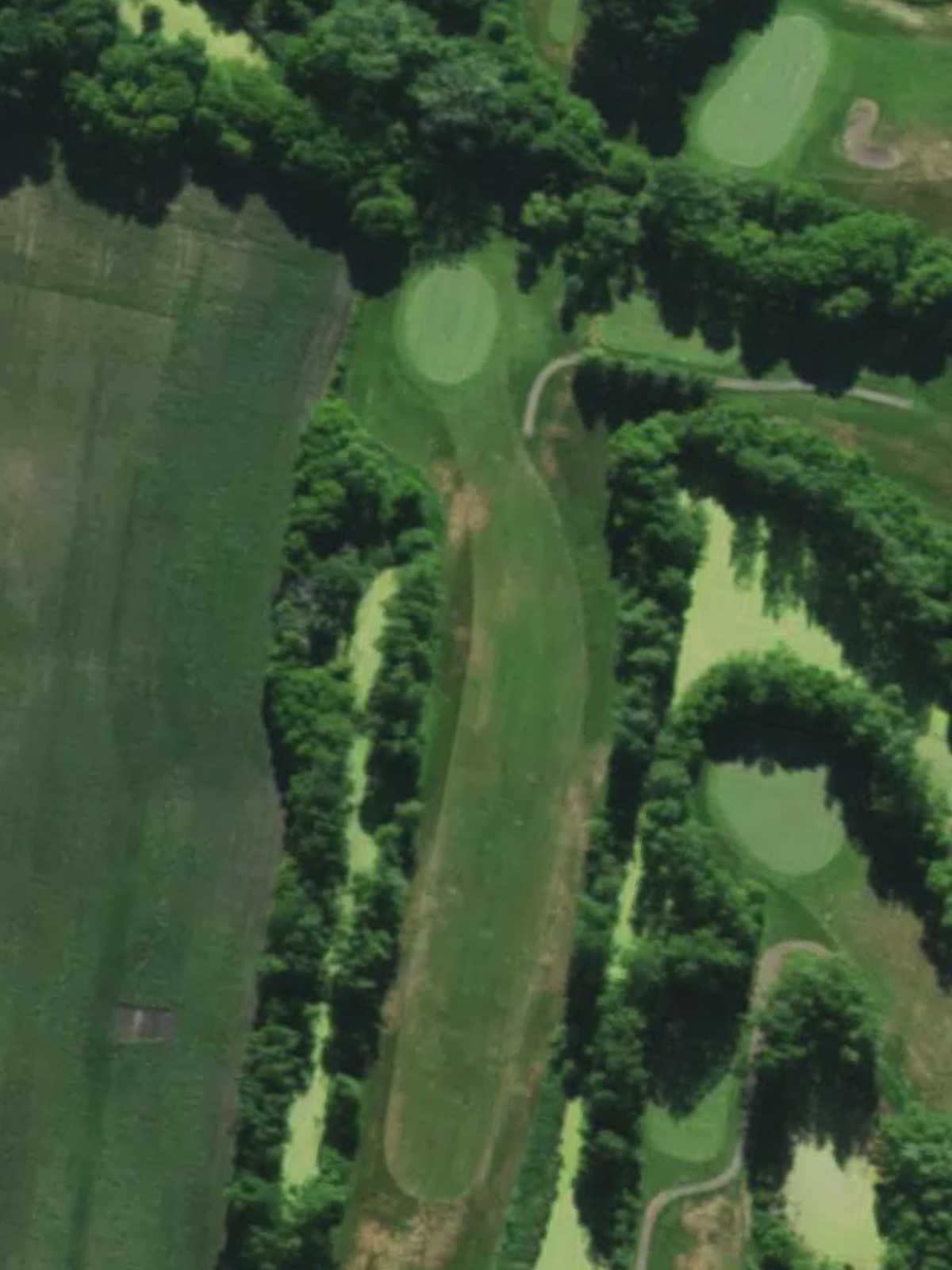 Hole 16 satellite