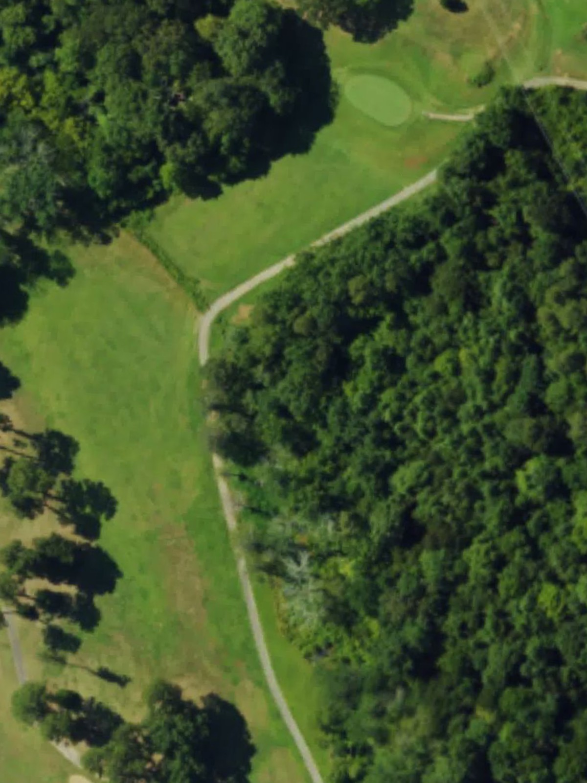 Hole 15 satellite