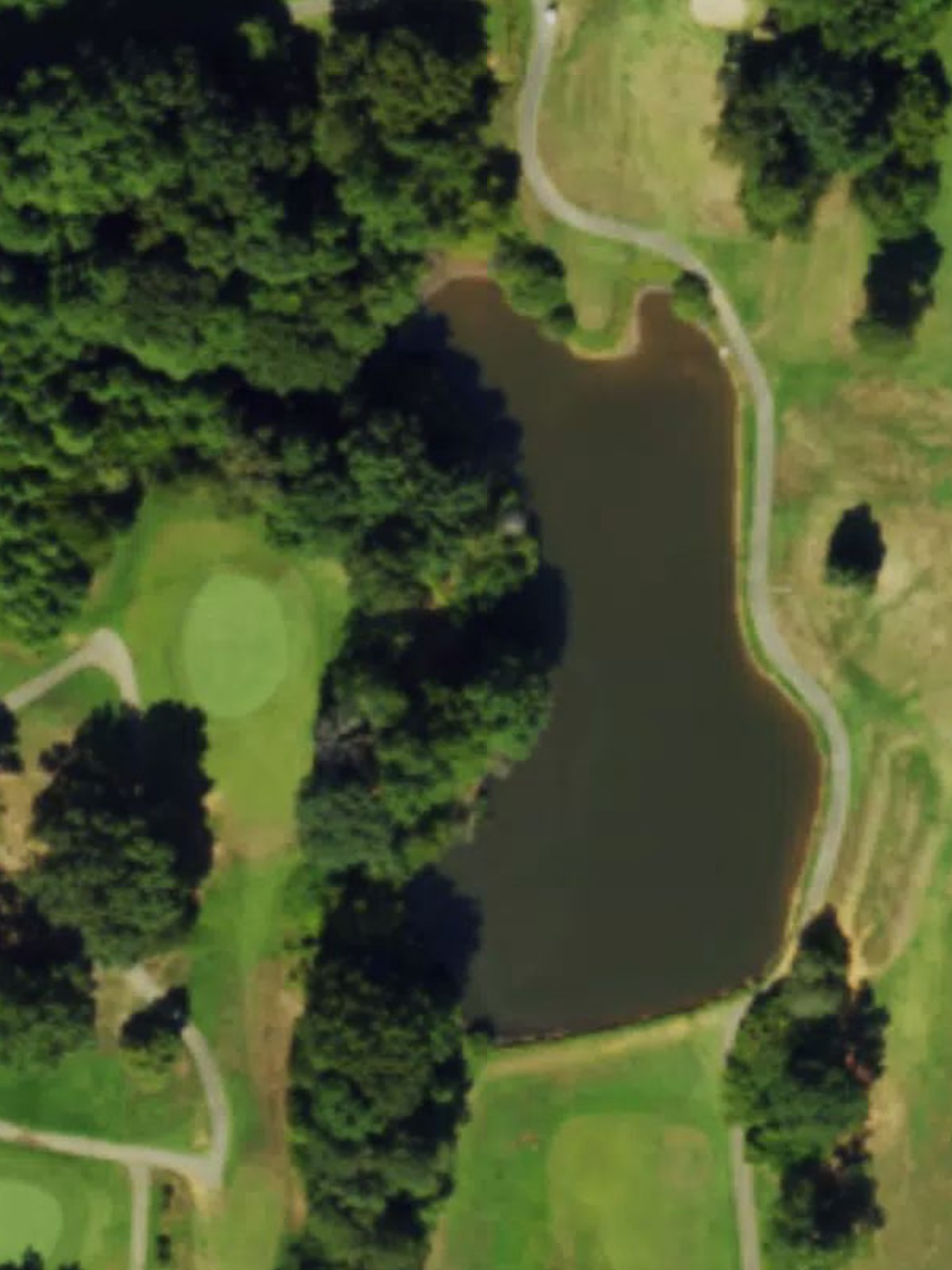 Hole 8 satellite