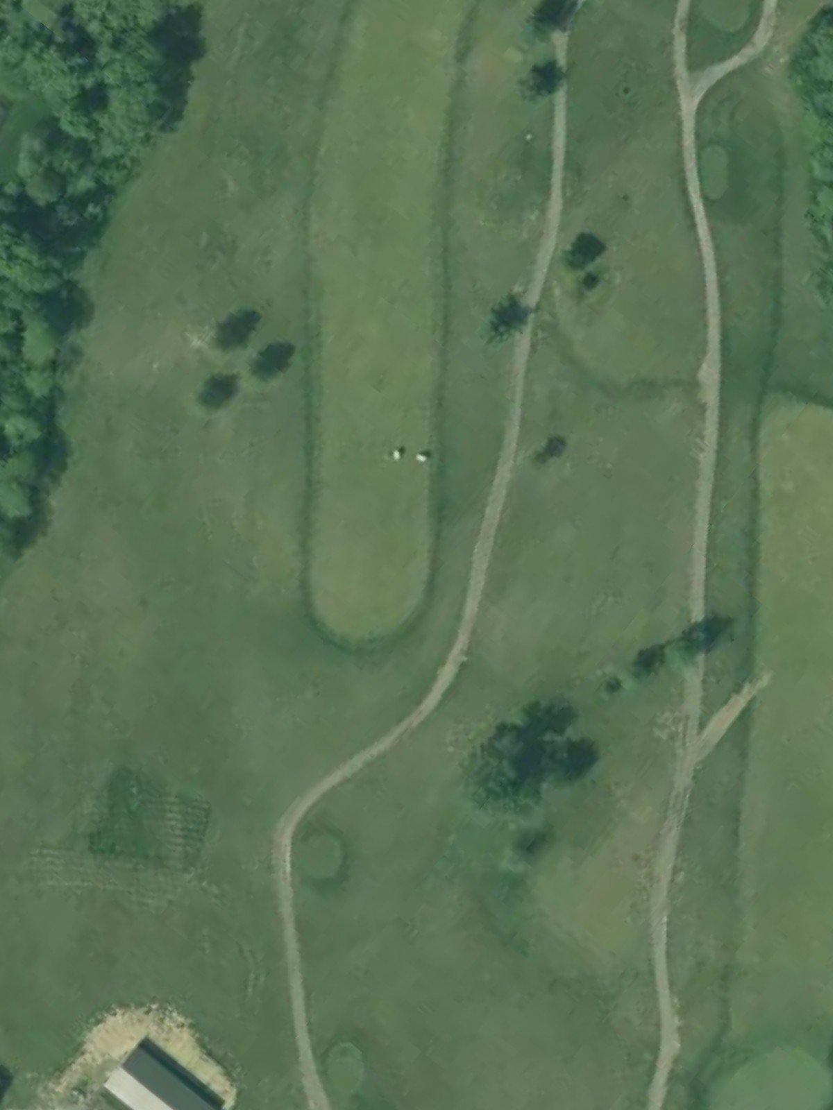Hole 1 satellite
