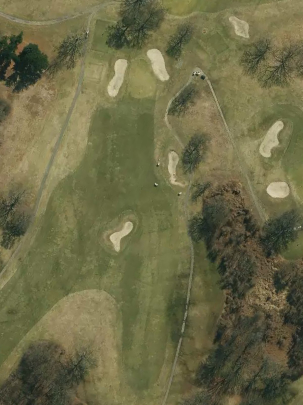 Hole 7 satellite