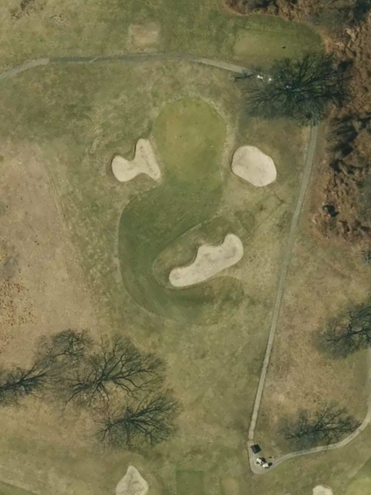 Hole 8 satellite