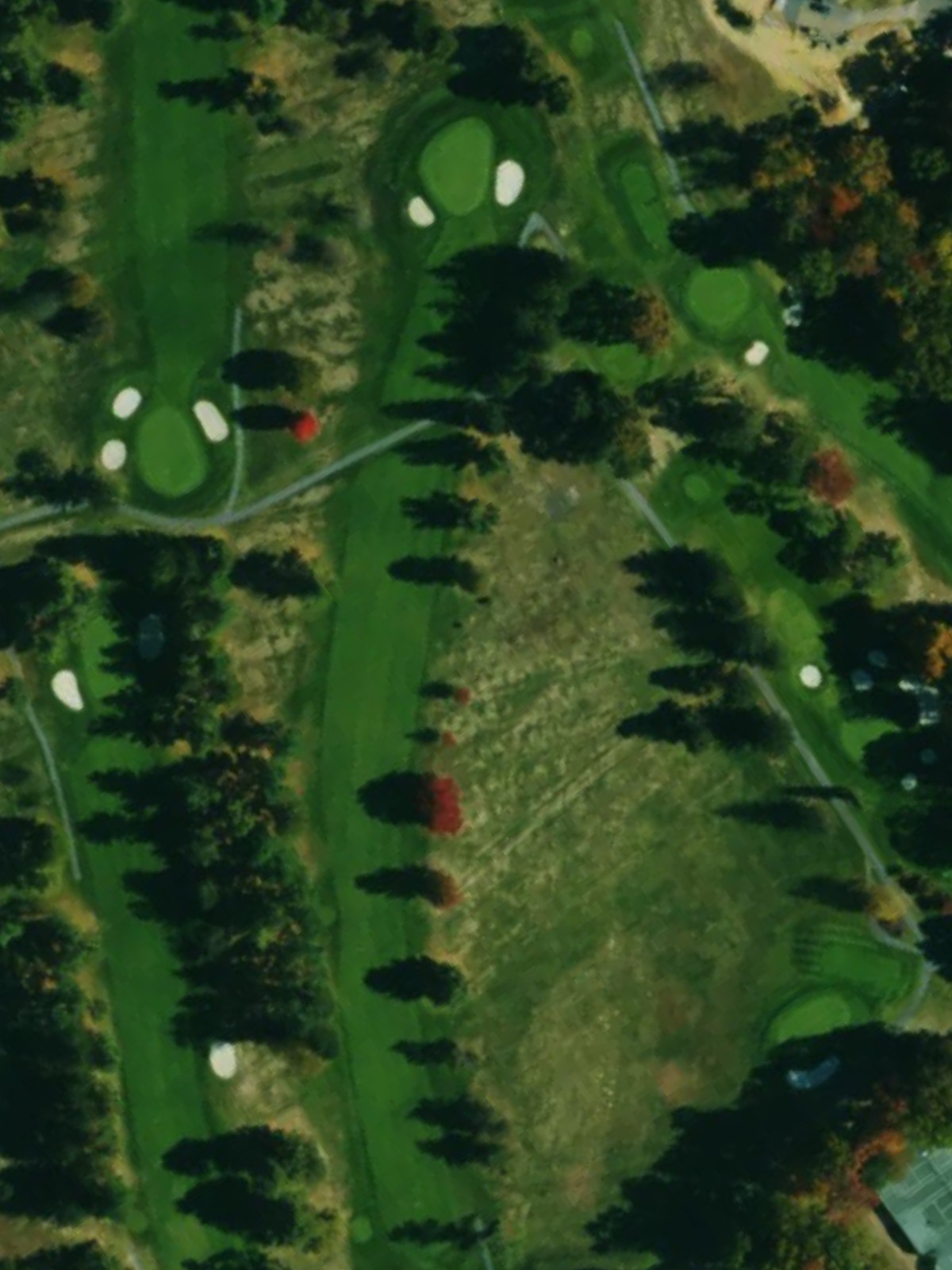 Hole 1 satellite