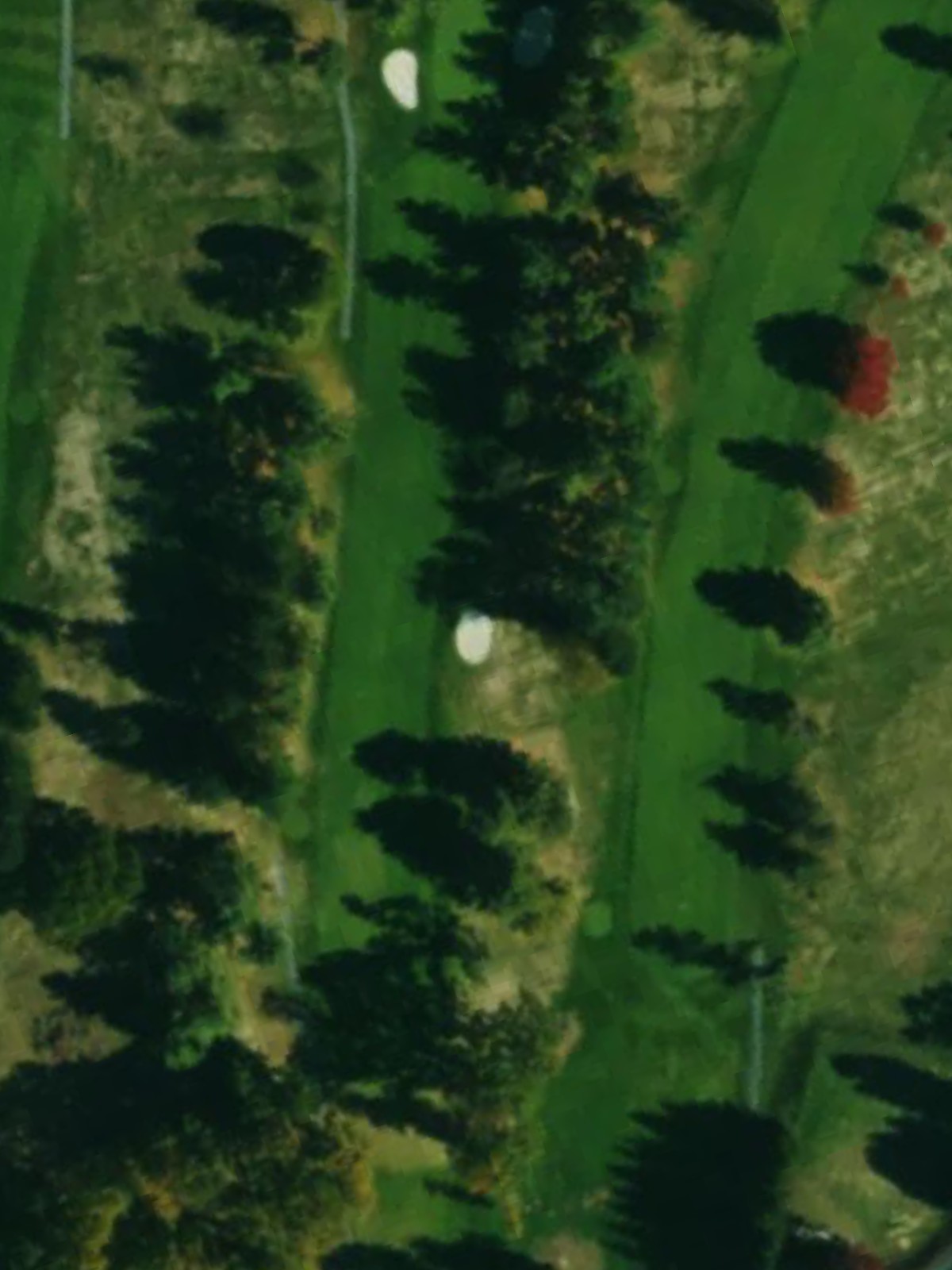 Hole 10 satellite