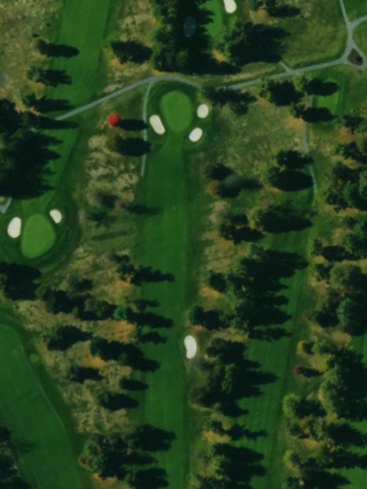 Hole 7 satellite
