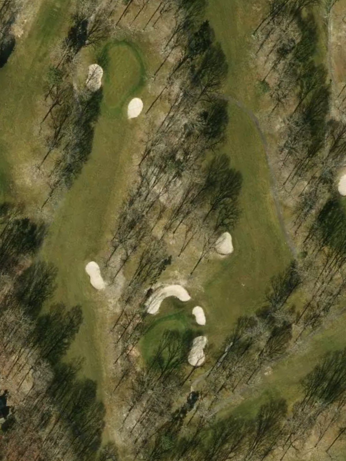 Hole 15 satellite
