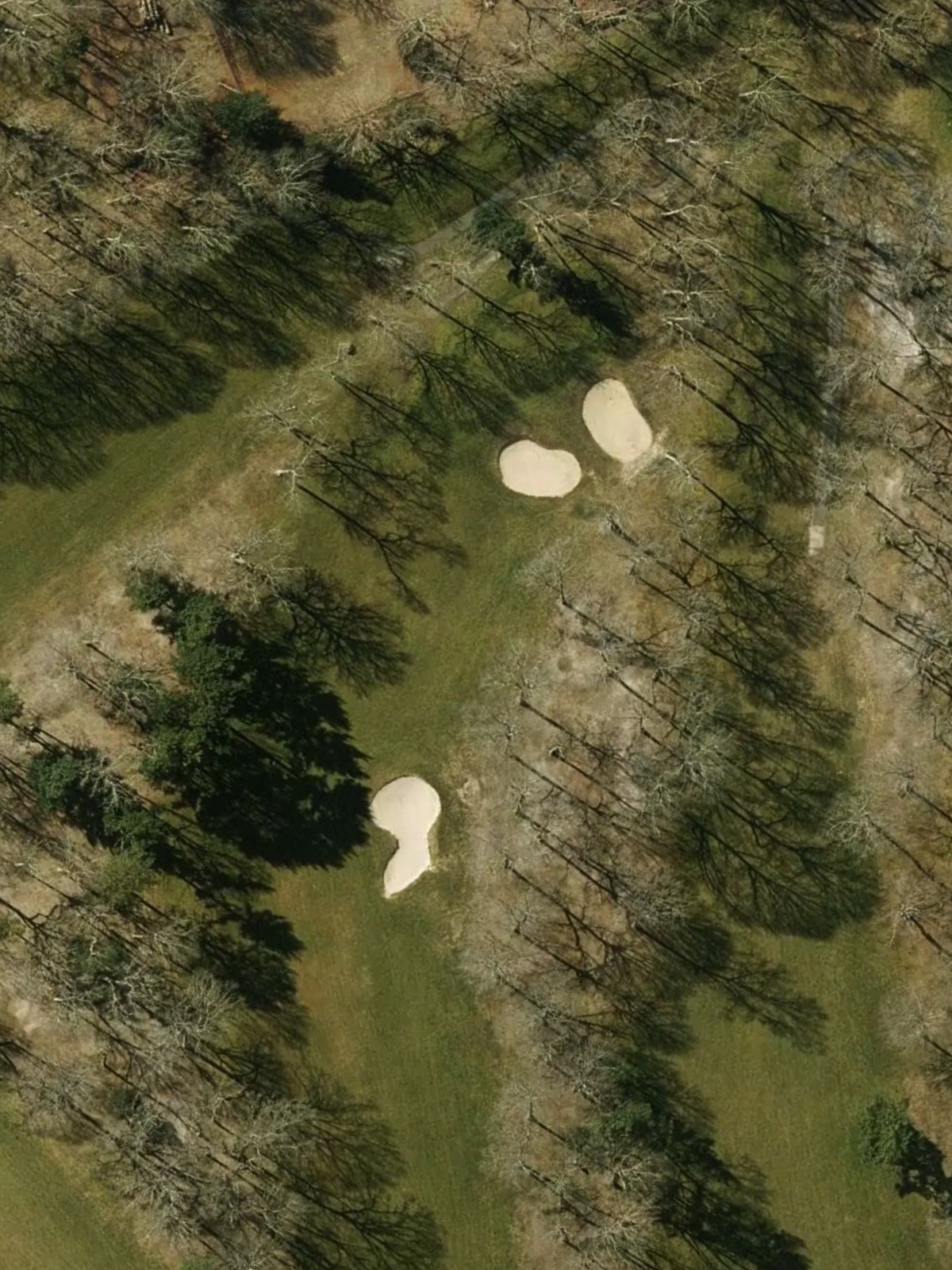 Hole 7 satellite