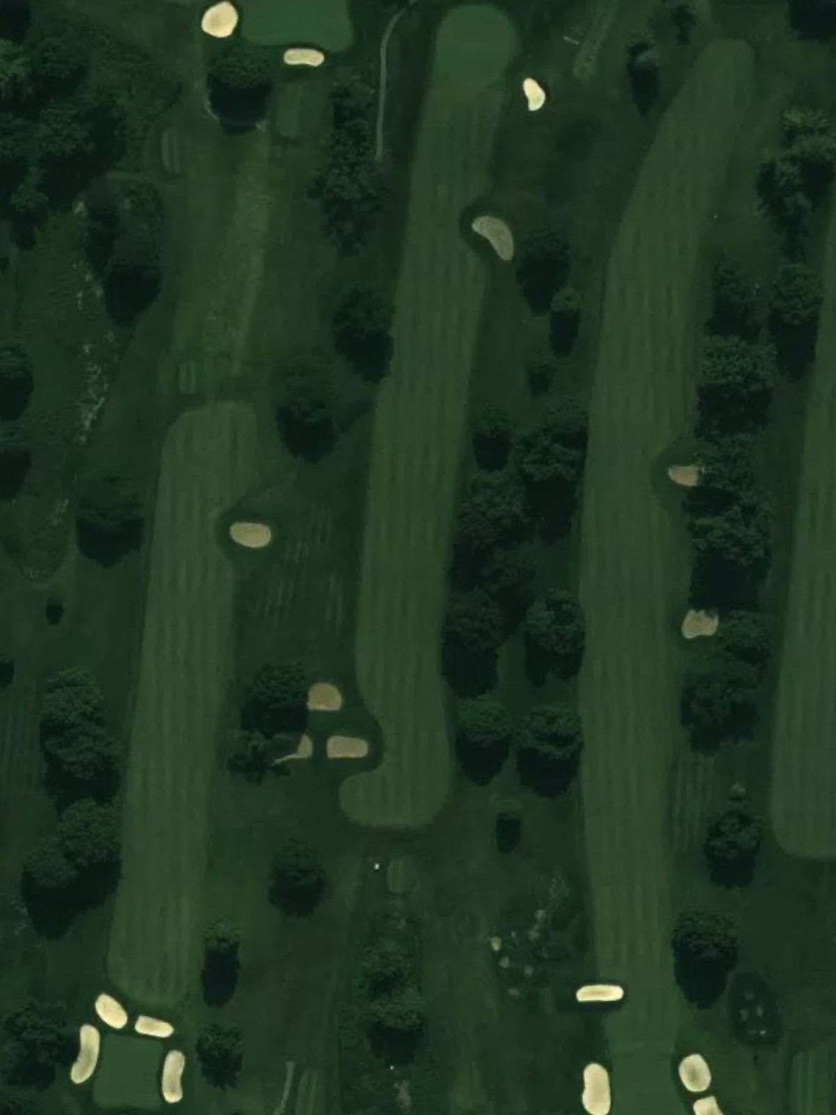 Hole 15 satellite
