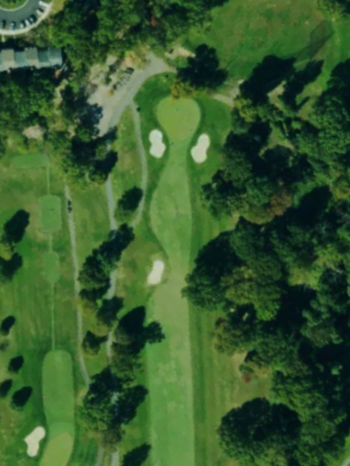 Hole 12 satellite