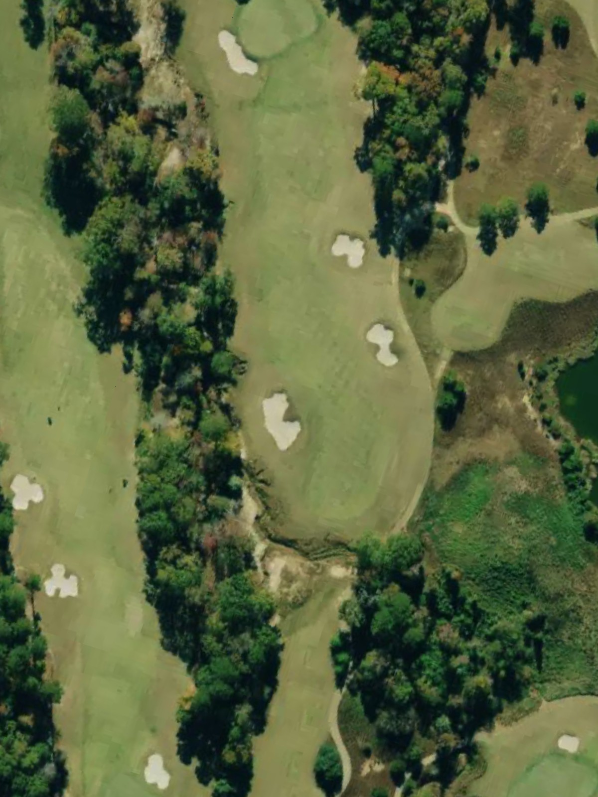 Hole 8 satellite