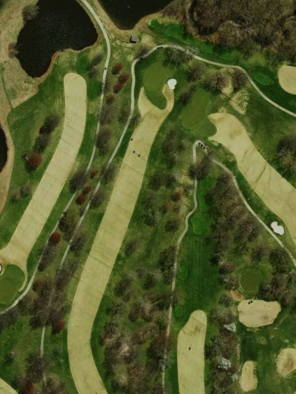 Hole 10 satellite