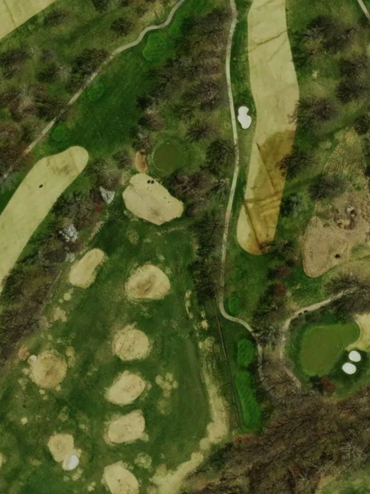 Hole 8 satellite