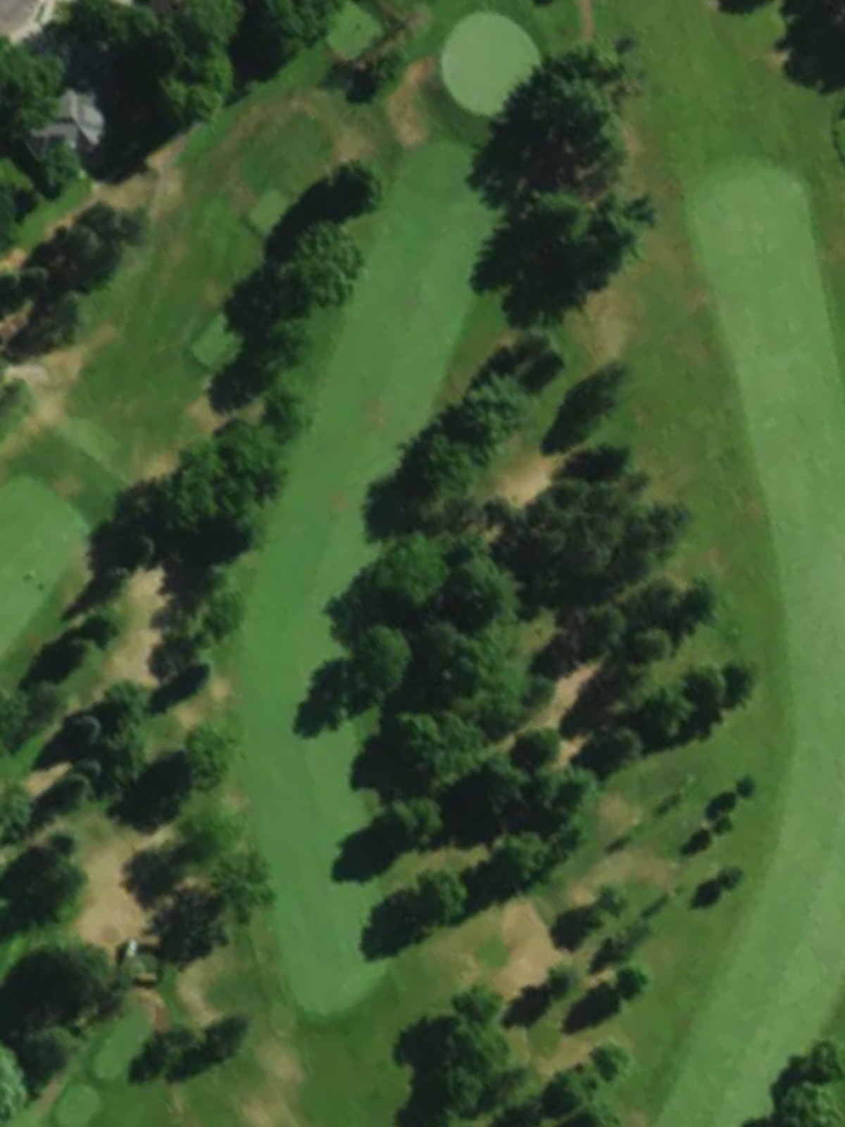 Hole 8 satellite