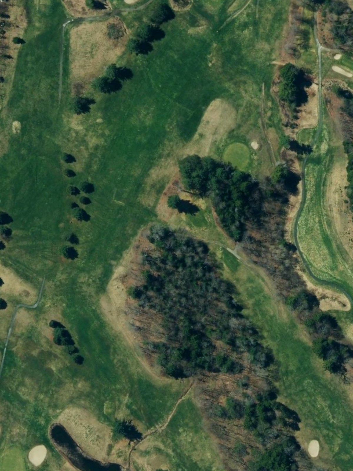 Hole 6 satellite