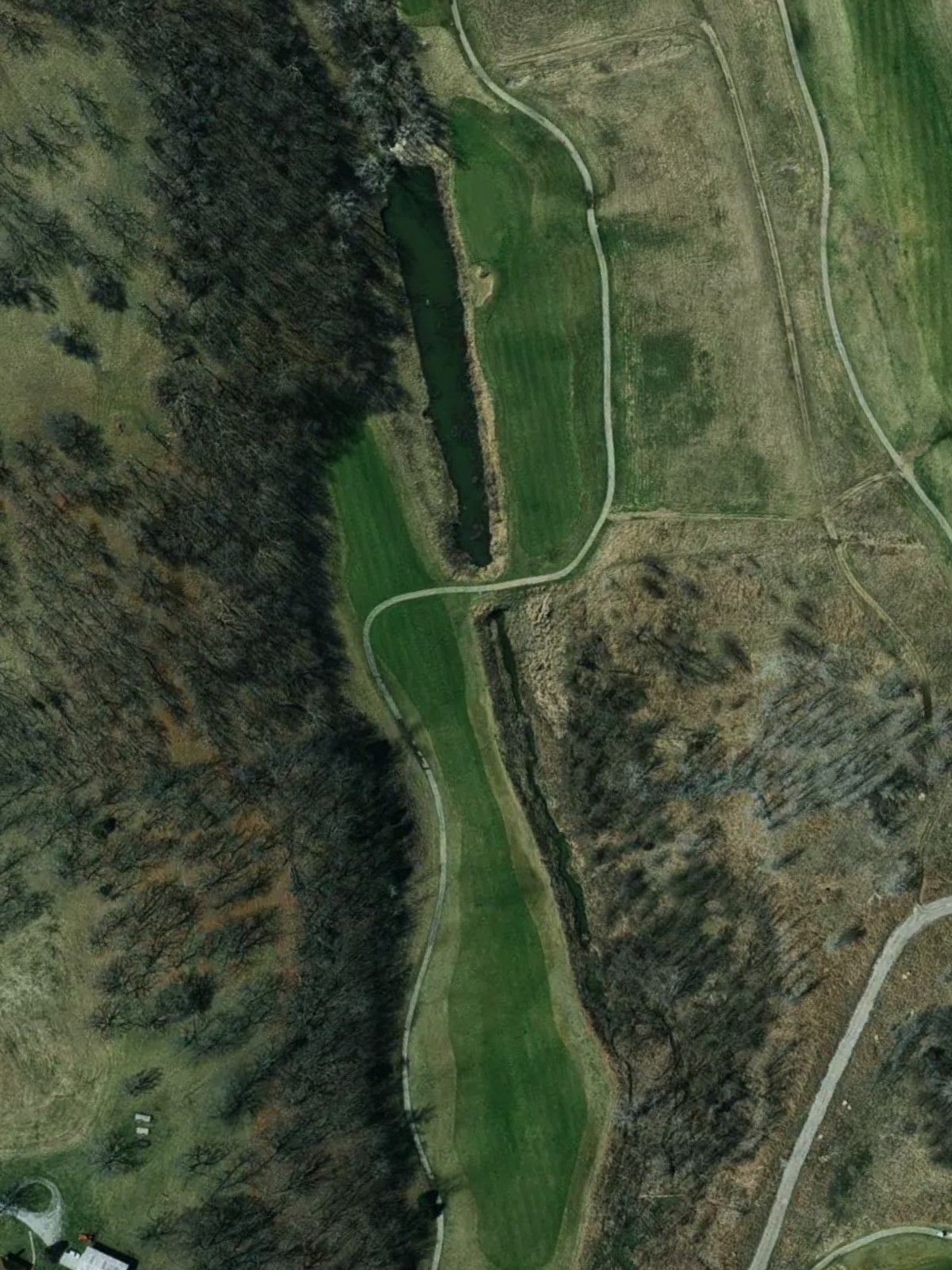 Hole 15 satellite