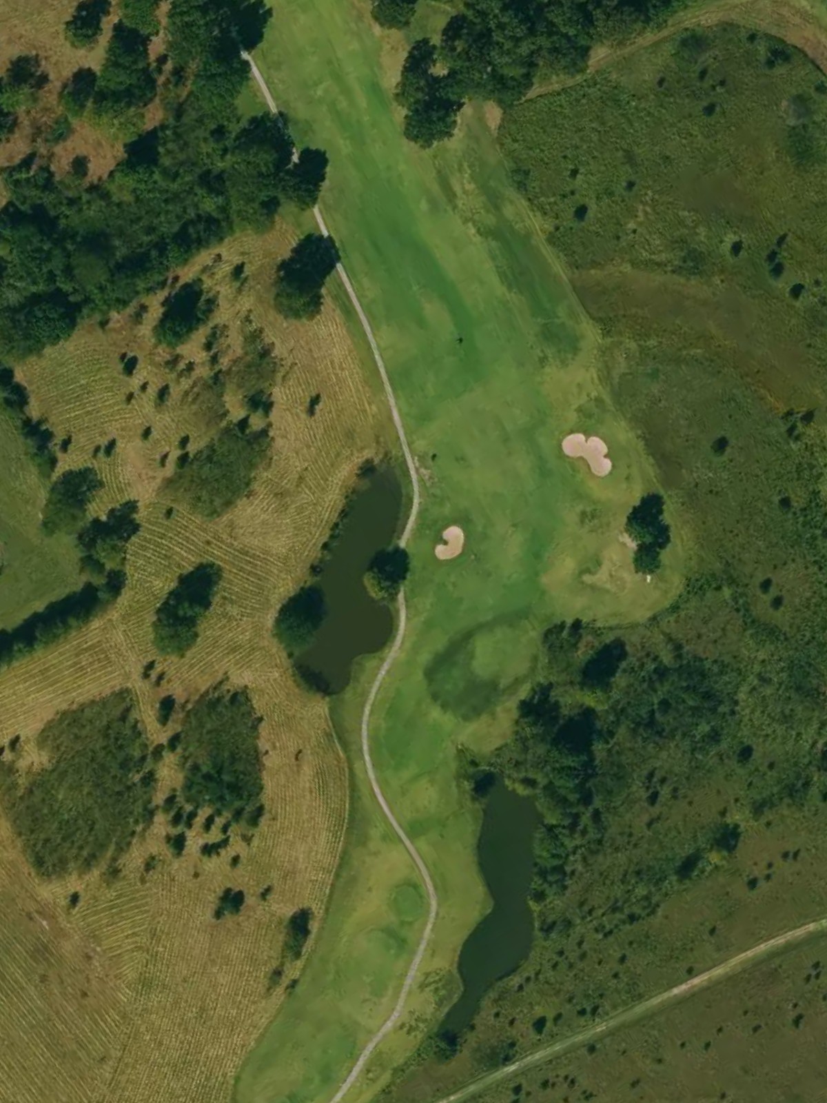 Hole 8 satellite