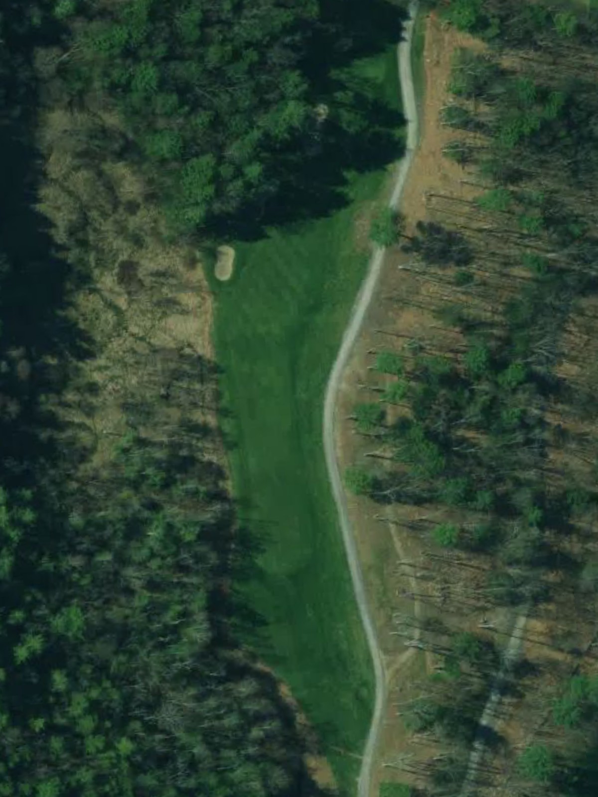 Hole 15 satellite