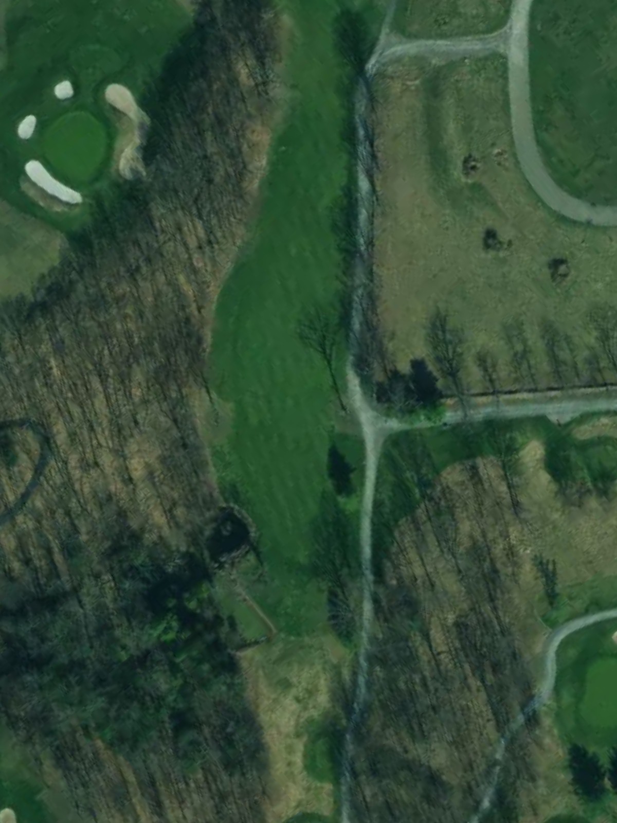 Hole 6 satellite