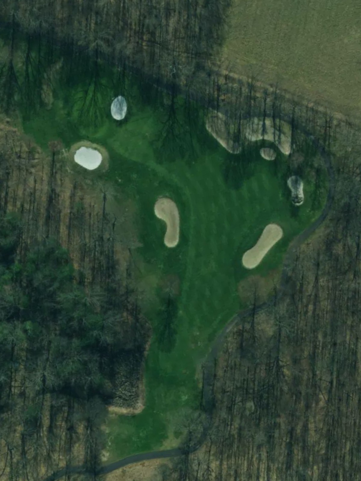 Hole 8 satellite