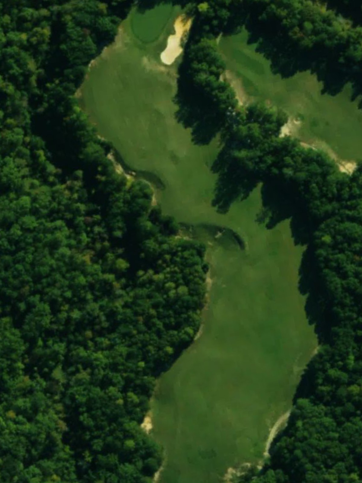 Hole 7 satellite