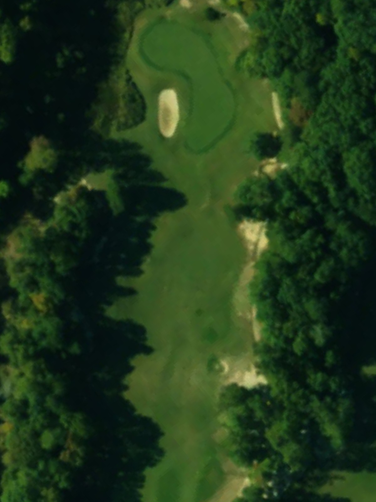 Hole 8 satellite