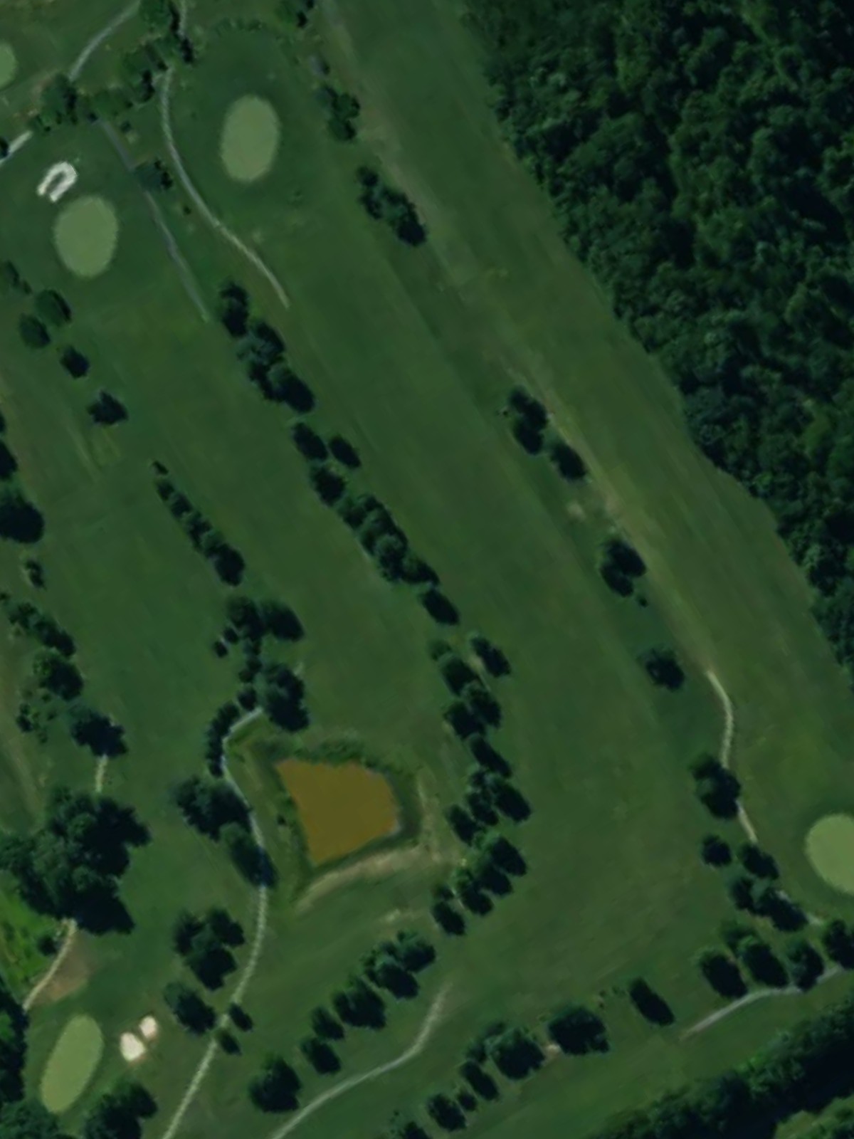 Hole 7 satellite