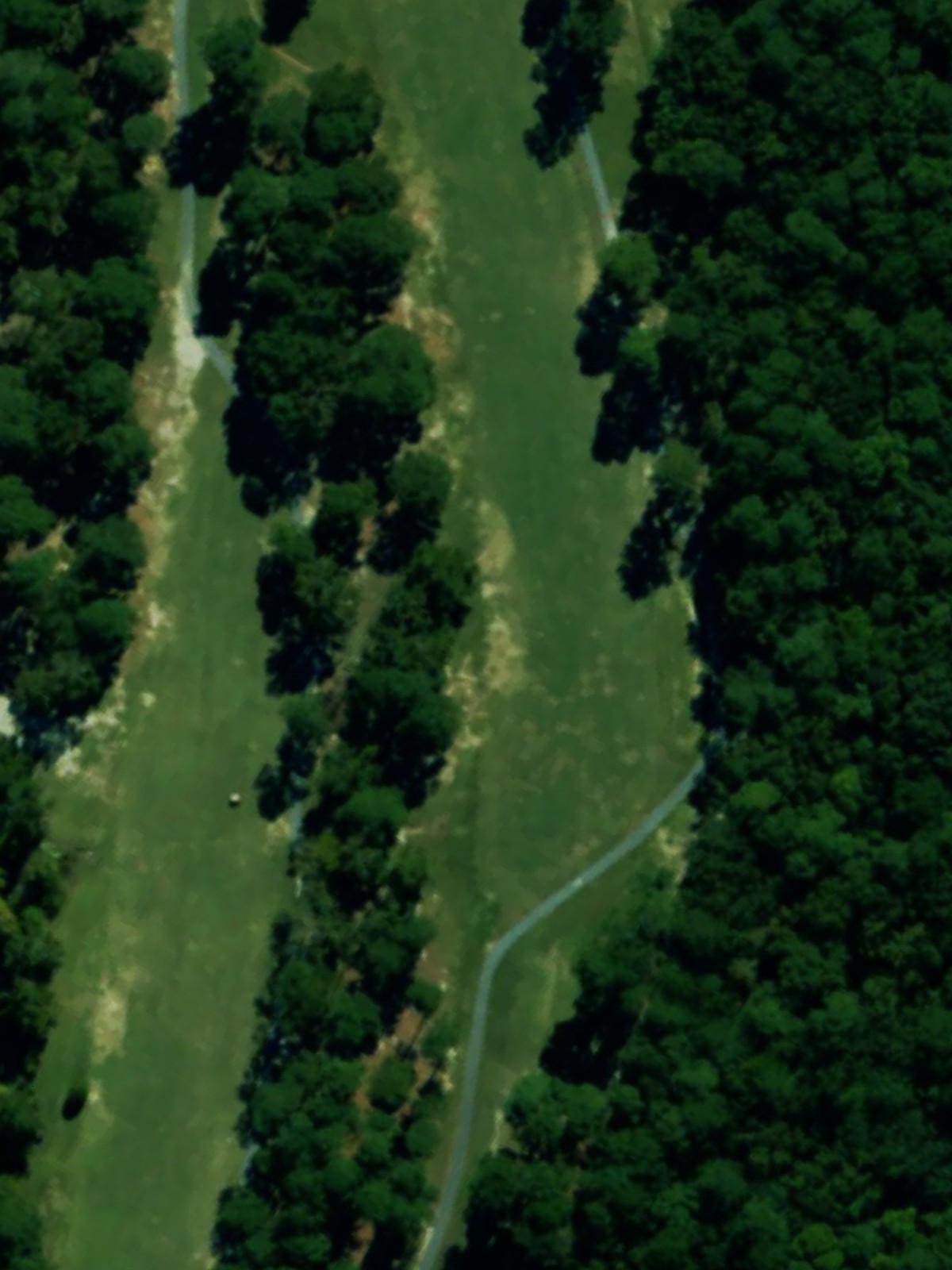 Hole 10 satellite