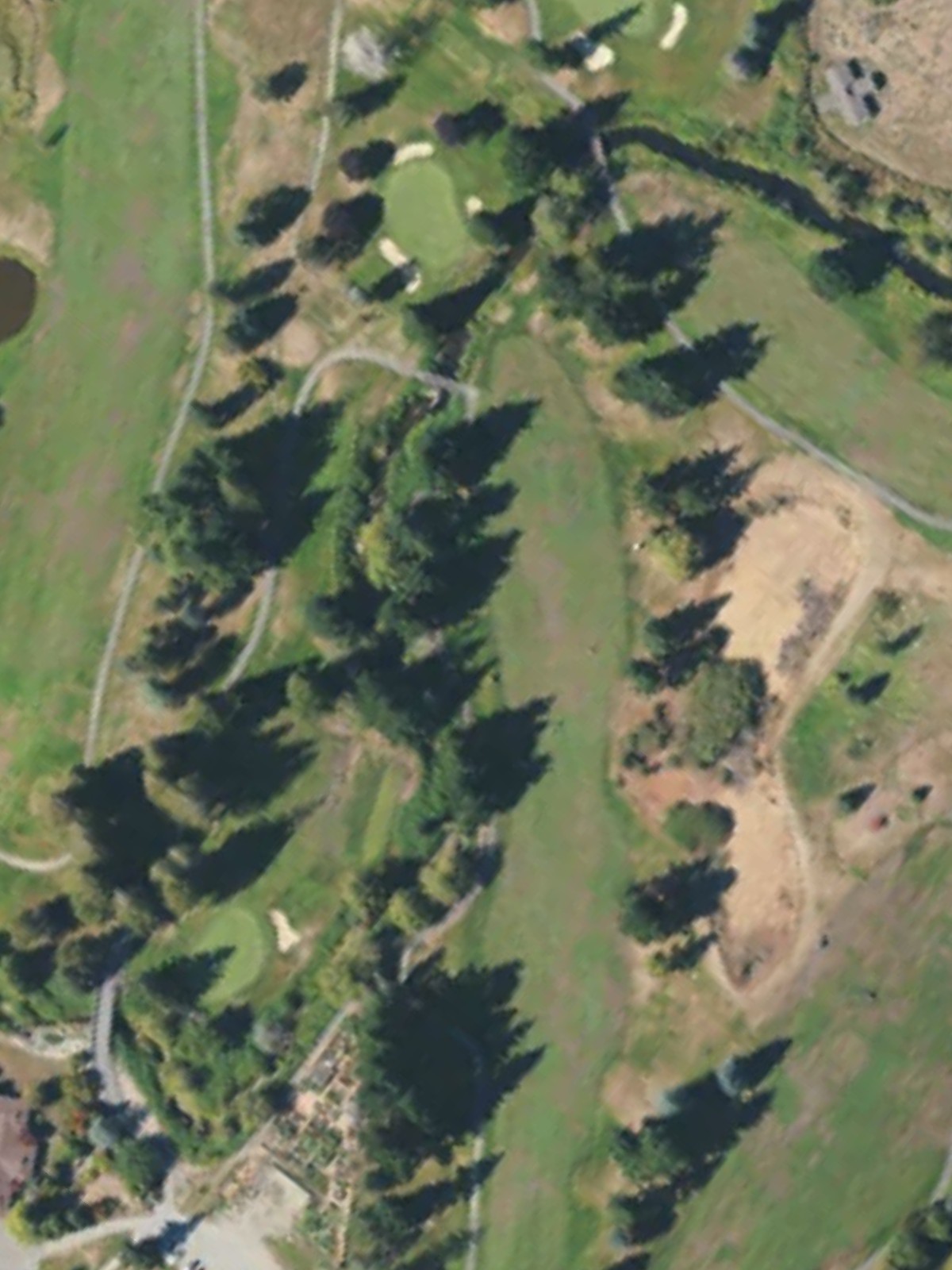 Hole 7 satellite