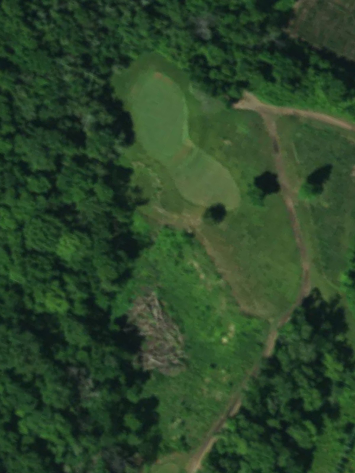 Hole 5 satellite