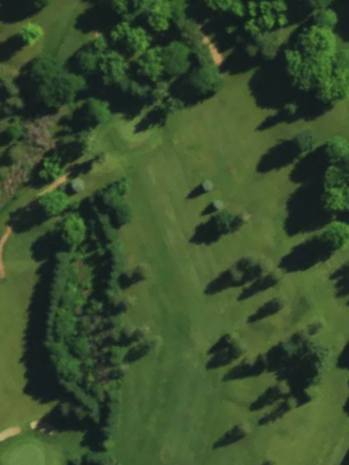 Hole 15 satellite