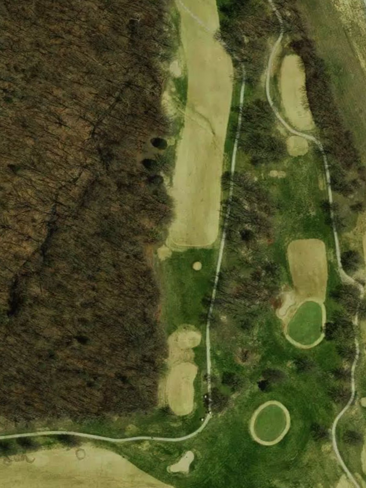 Hole 7 satellite